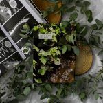 Antologia De Inio Asano IWEB