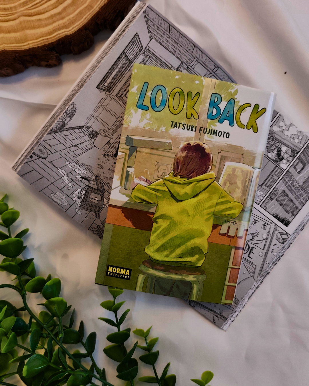 Look Back de Tatsuji Fujimoto