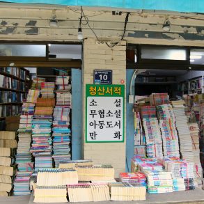 9 libros asiáticos para leer en un día (lecturas cortas e intensas) portada